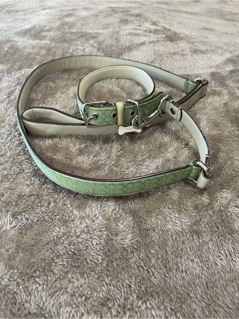 Coach Signature “C” Mint Green Dog Collar & Leash Set 💚🐾 | RARE